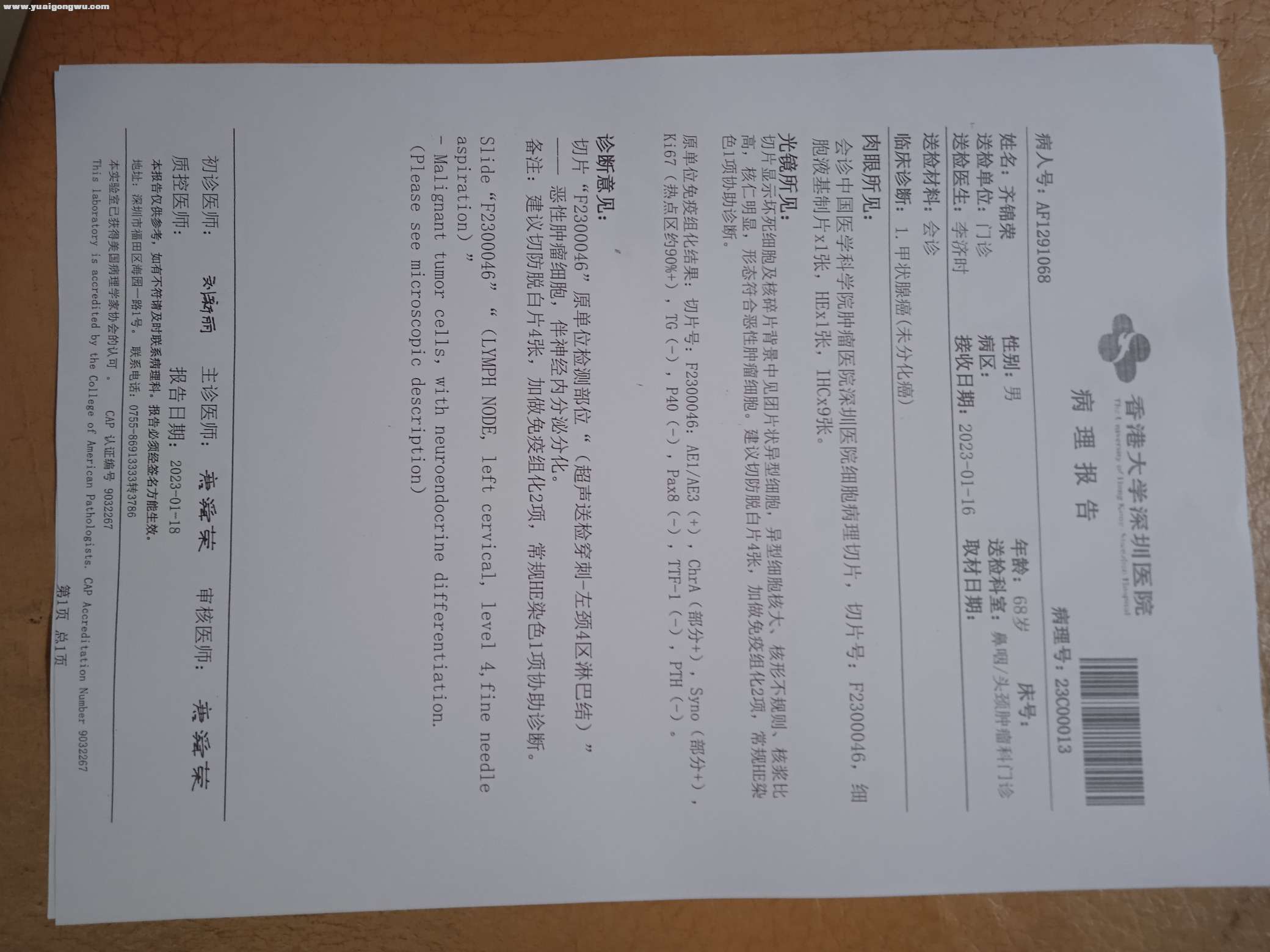 我本人刚刚检查出甲状腺未分化癌